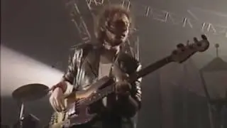 Renaud  La chetron sauvage  Concert live au Zenith 1986 82