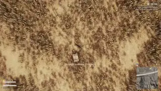 Eyy Jodido Dahnark! Bonobo Pubg