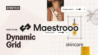 Stretch Theme Tutorial: Setting up the Dynamic Grid Section | Maestrooo Shopify Themes