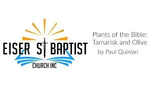 Plants of the Bible: Tamarisk and Olive by Paul Quinlan (delivered 2 November 2025)