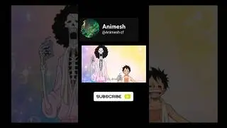 Luffy and brook drinking milk to heal bones funny scene best way to heal bones