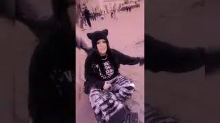 kot olga