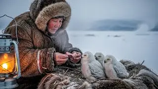 Surviving at 71&deg;C|A 90 year old womanhelps starving snowy owls during a harshSiberian winter