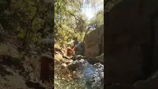 yoga in nature 🦋 #yogainnature #yogashorts #yogainspiration #natureyoga #naturalwoman #fairytale #om