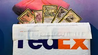 MtG Legends in Today's Mail Day Video, Old School Magic the Gathering | 624
