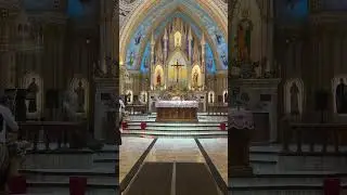Lourdes church#thrissur #holymass