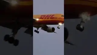 DHL night Cargo delivery