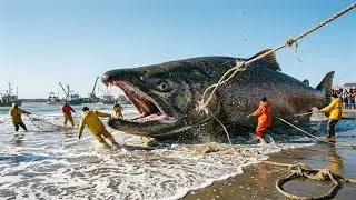 THIS SHOULD HAVE BEEN IMPOSSIBLE: Giant Salmon Drags the Boat