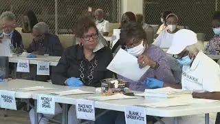 Elections workers count DeKalb County commission race by hand