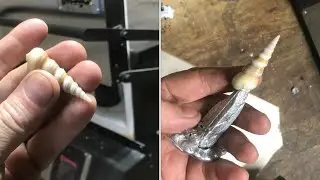 pouring MOLTEN METAL into a &ldquo;seashell&rdquo; (first attempt)