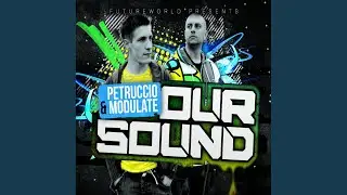 Skank In The House (Original Mix)