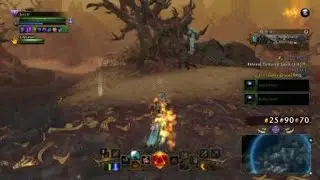 Neverwinter Super Healing Companion (Splinters)