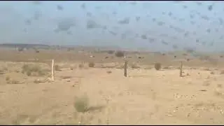DESTROYED PAKISTAN T-59 TANKTHIS TANK BELONGS TO 22 CAVALRY OF PAKISTAN ARMY. IT IS ONE