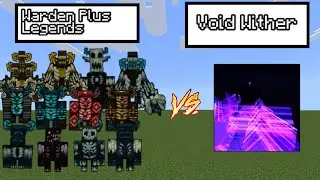 WARDEN PLUS LEGENDS vs VOID WITHER