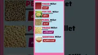 Английские слова /Millets #словарный запас #gk