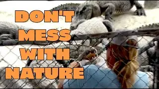 Don't Mess with Nature #animals #wildlife #animalsvideo #nature #wildanimals