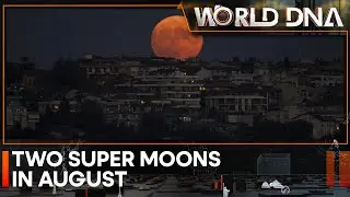 Celestial treat for skywatchers: Two supermoons in August | WION World DNA