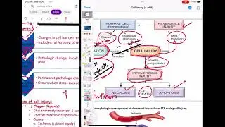 General pathology-1 | Cell injury