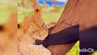 (woow! 😲😲) visit Tanzania