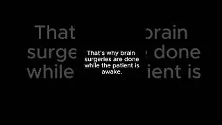 Your brain can't feel pain #facts #short #shorts #psychology #mindblown