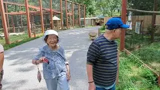 A day at the World Bird Sanctuary