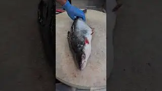 Amazing Giant Pangas Fish Cutting Skills#shorts