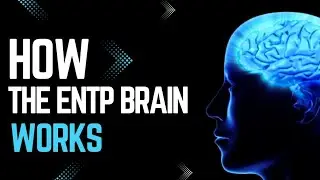 How the ENTP Brain Works