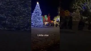Peddlers village light show #light #winter #entertainment
