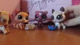 Przygody  naszej Tajgr!;)