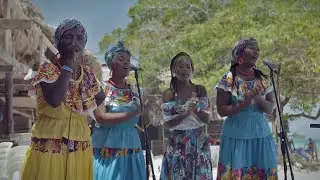 Ceferina Banquez - Sali de la Montaña -(Colombia)- La Tonga : En Vivo 4k