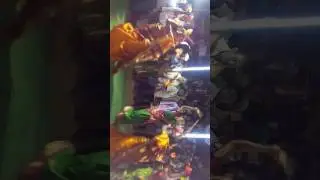 Mopadu Kollanna 2