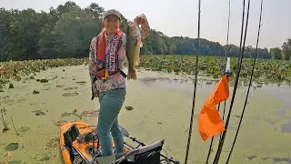 Cowan Lake Frogging & Worming For Bass in the Lily Pads - CKF Kayak Bass Fishing Tournament