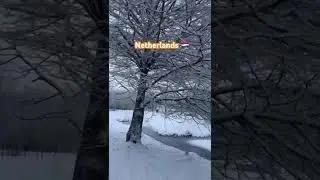 Snowy Rotterdam | Netherlands 4K ❄️🇳🇱