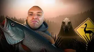 Ak chc&uacute; prežiť, musia chytať ryby.. | RESTT