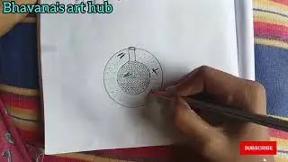 asexual reproduction in Gemmule diagram biology how to make step by step #diagram #biology