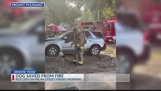 Mount Pleasant Fire Department saves dog from house fire
