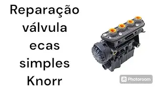 reparação da válvula ecas simples da suspensão