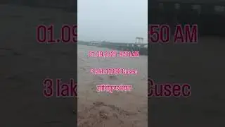 hathinikud bairaj high level flood|| yamuna river flood #zubairpadhan#youtubeshorts #shorts