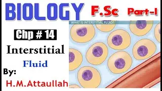 Interstitial Fluid | Chapter # 14 | Biology F.Sc Part - I