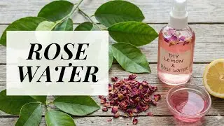 The BEST Natural Toner Recipe! 🌹🍋 | माझी खास 'लेमन लीफ रोज वॉटर' रेसिपी