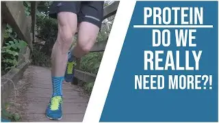 Protein needs for athletes | Do endurance athletes need more?