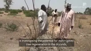 Climate-smart agricultural innovation in Nigeria