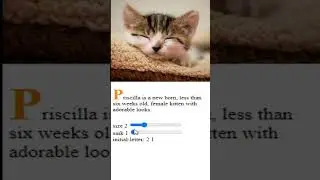 JS updates CSS var