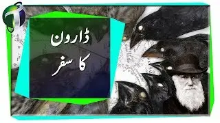 Origin of Species Urdu Hindi