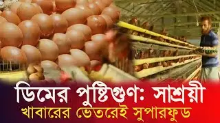 ডিমের পুষ্টিগুণ: সাশ্রয়ী খাবারের ভেতরেই সুপারফুড