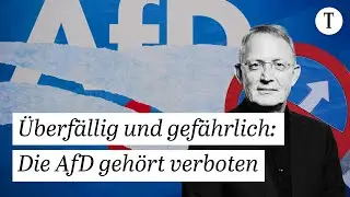 AfD-Verbot: Ist das realistisch? | Bundestag debattiert Parteiverbotsantrag