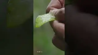 Очень эффективный способ естественного повышения уровня коллагена