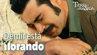 Demir besó los pies de Züleyha - Capítulo 87 @TierraAmarga