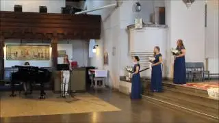 Hanna Ferm sjunger på bröllop - 