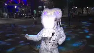 On the Go with Joe at Portland Winter Light Festival 2019